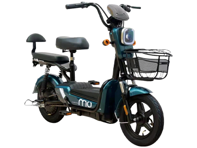 Electric Cycle