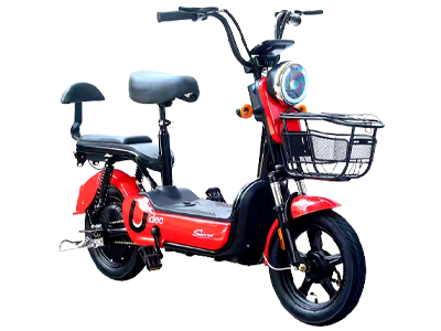Electric Cycle