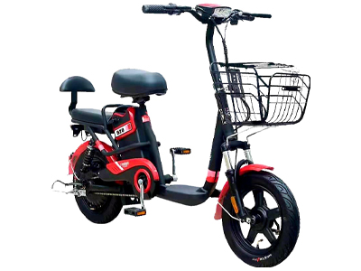 Electric Cycle